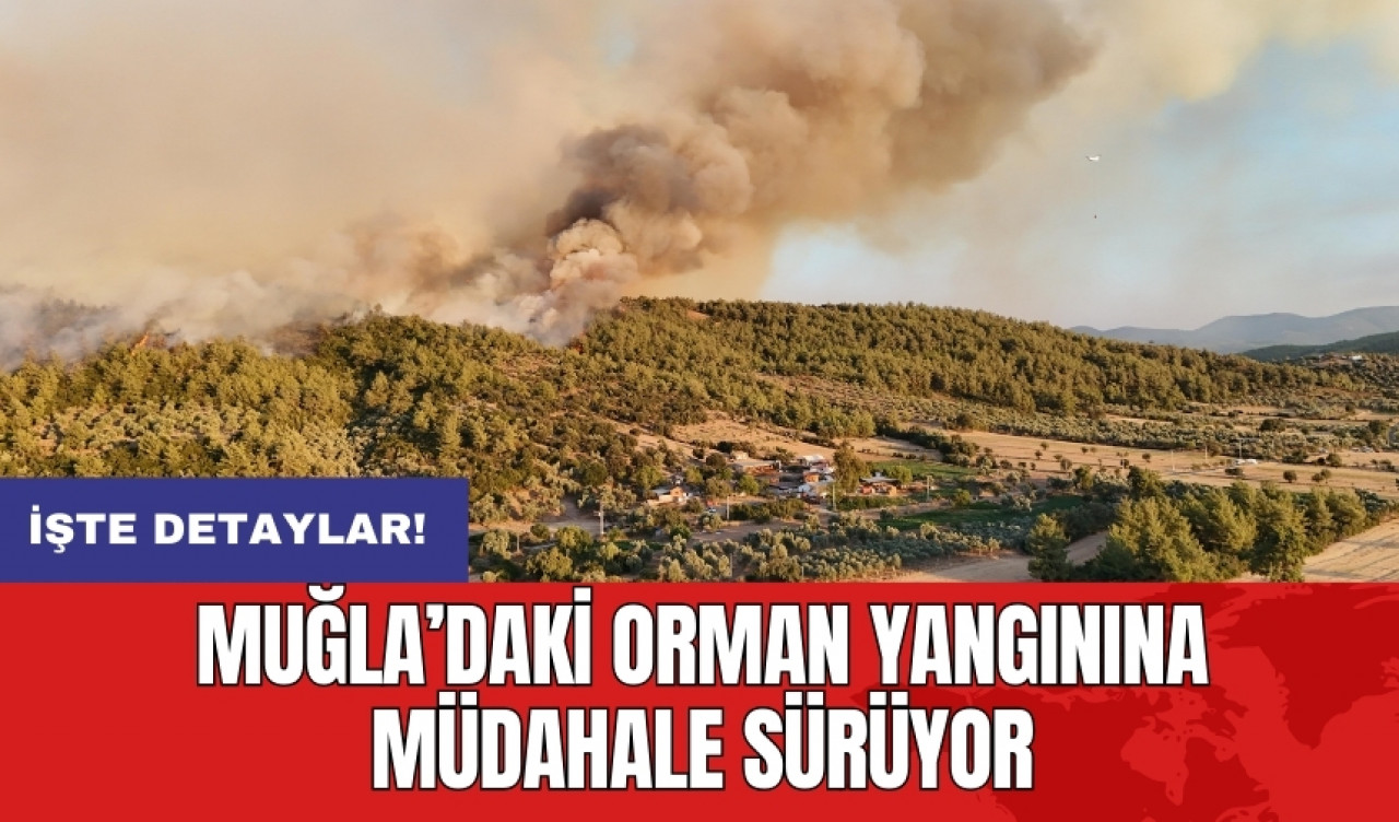 Muğla’daki orman yangınına müdahale sürüyor