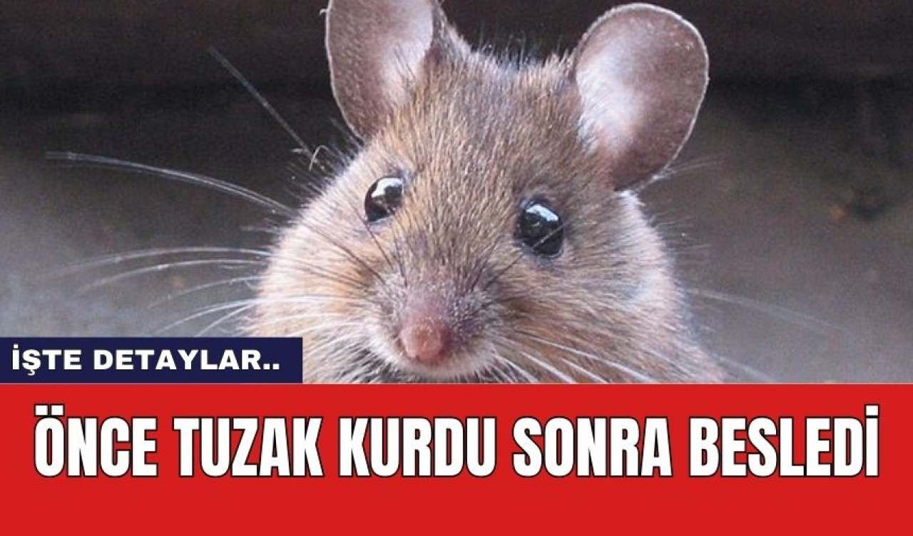 Önce Tuzak Kurdu Sonra Besledi