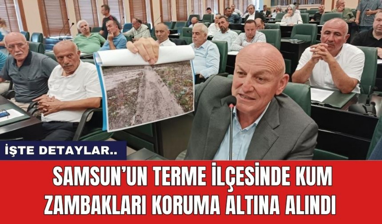 Samsun’un Terme İlçesinde Kum Zambakları Koruma Altına Alındı