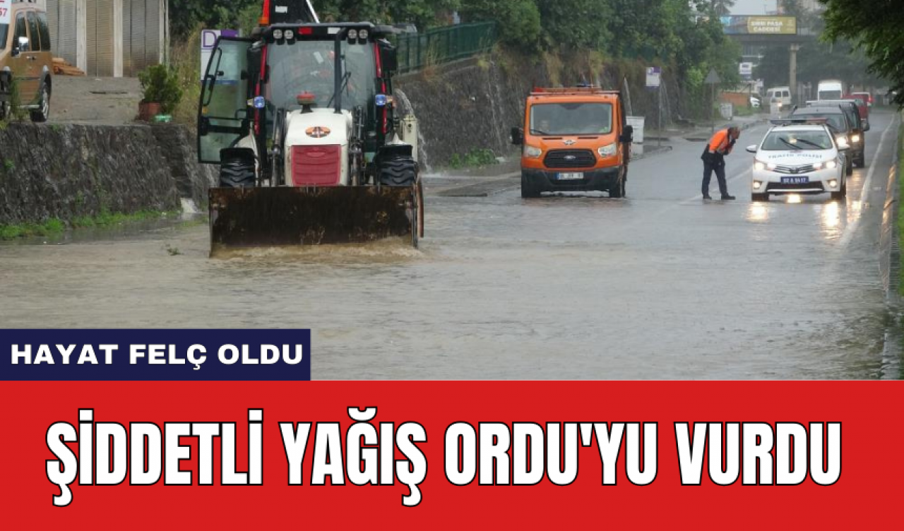 Şiddetli yağış Ordu'yu vurdu: Hayat felç oldu