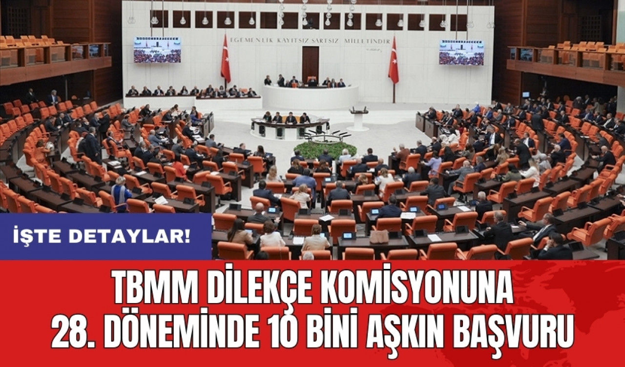 TBMM Dilekçe Komisyonu'na 28. Döneminde 10 bini aşkın başvuru