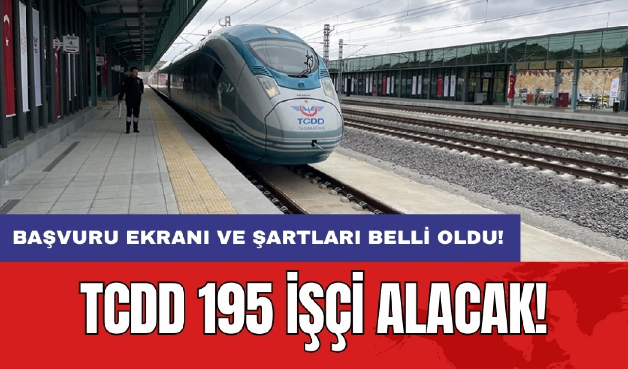 TCDD 195 işçi alacak! Başvuru ekranı ve şartları belli oldu!