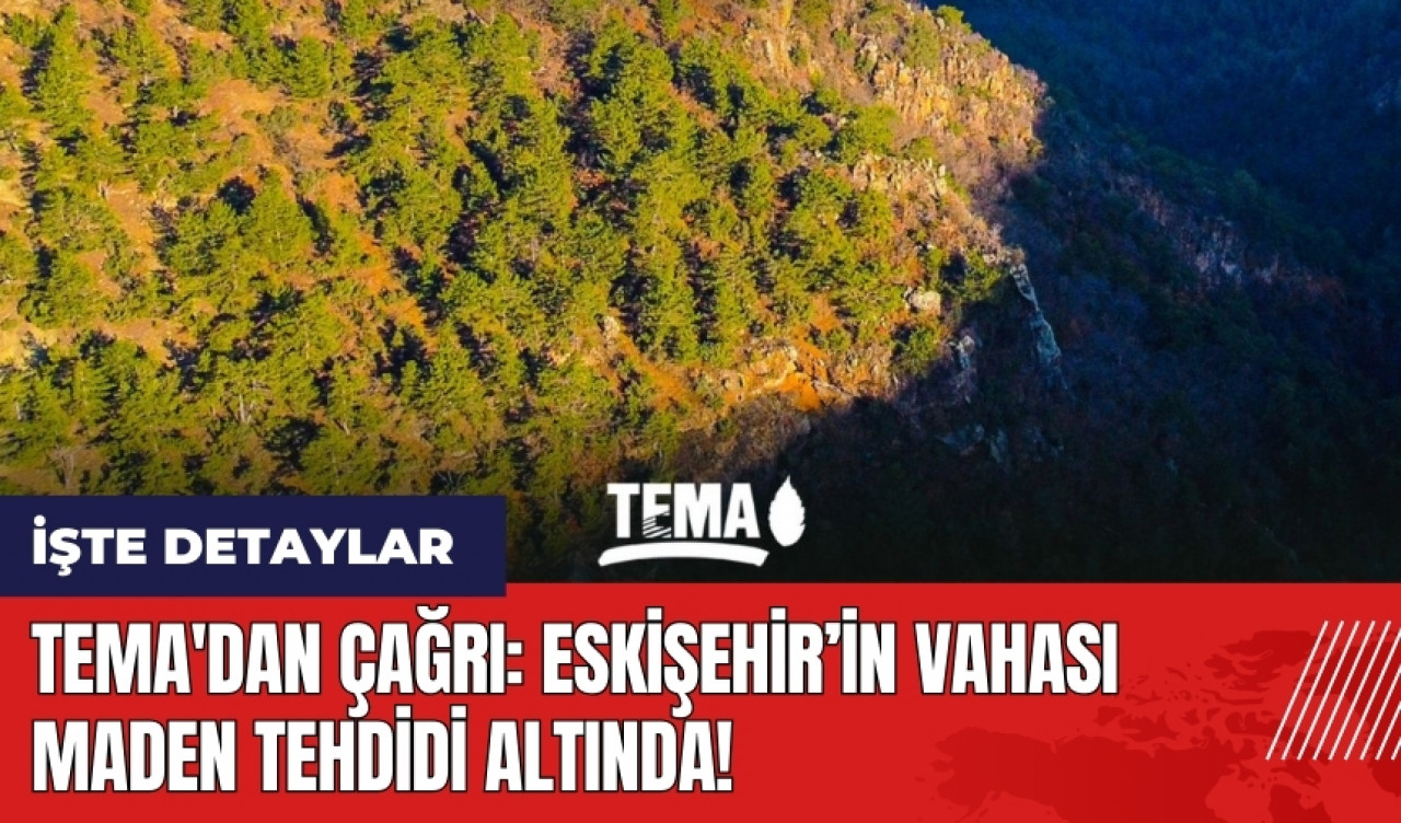 TEMA'dan çağrı: Eskişehir’in vahası maden tehdidi altında!