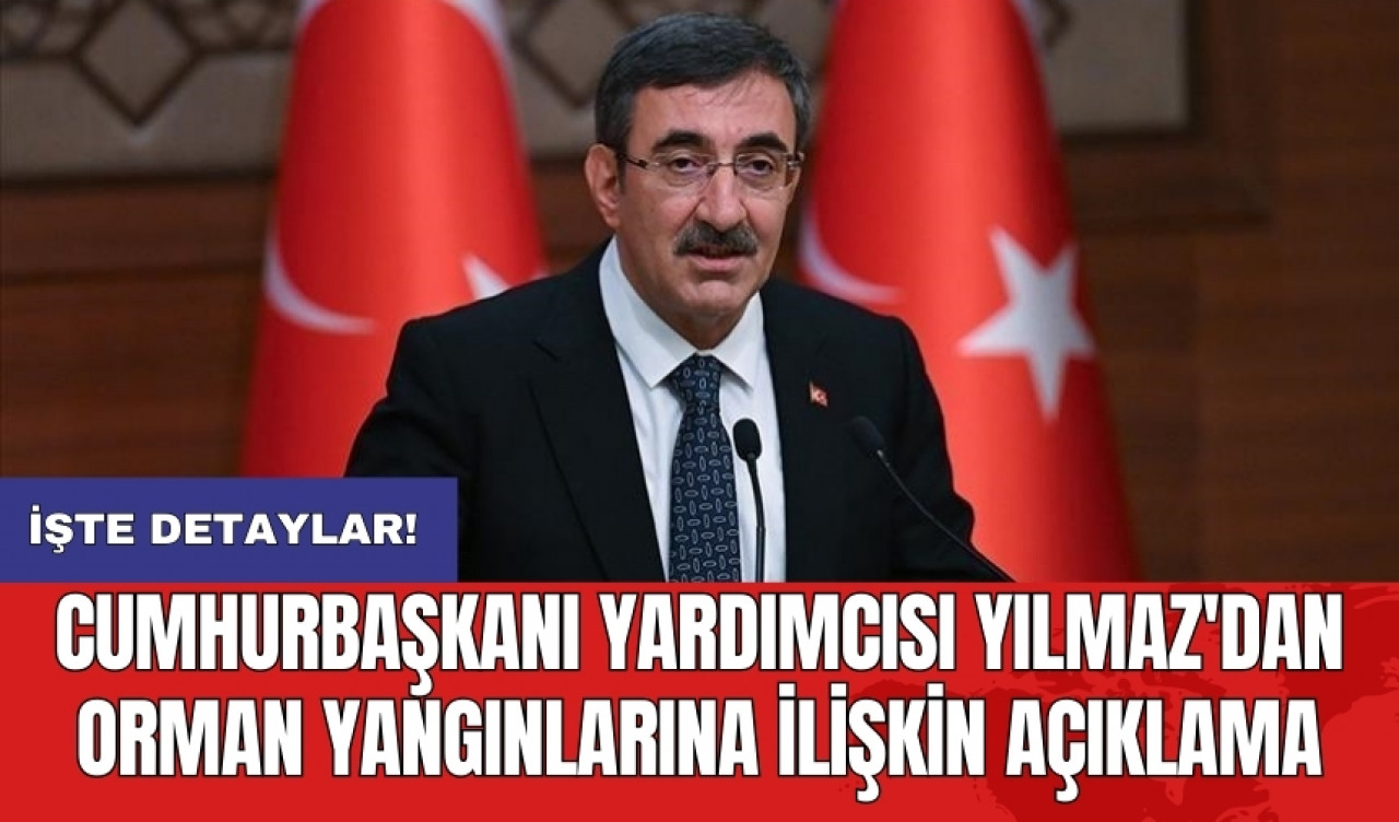 Yılmaz'dan orman yangınlarına ilişkin açıklama