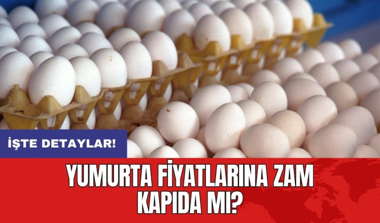 Yumurta fiyatlarına zam kapıda mı?