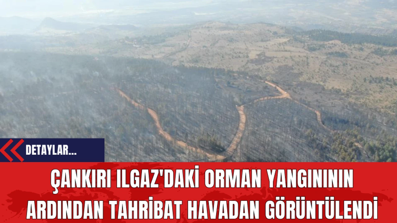 Çankırı Ilgaz'daki Orman Yangınının Ardından Tahribat Havadan Görüntülendi