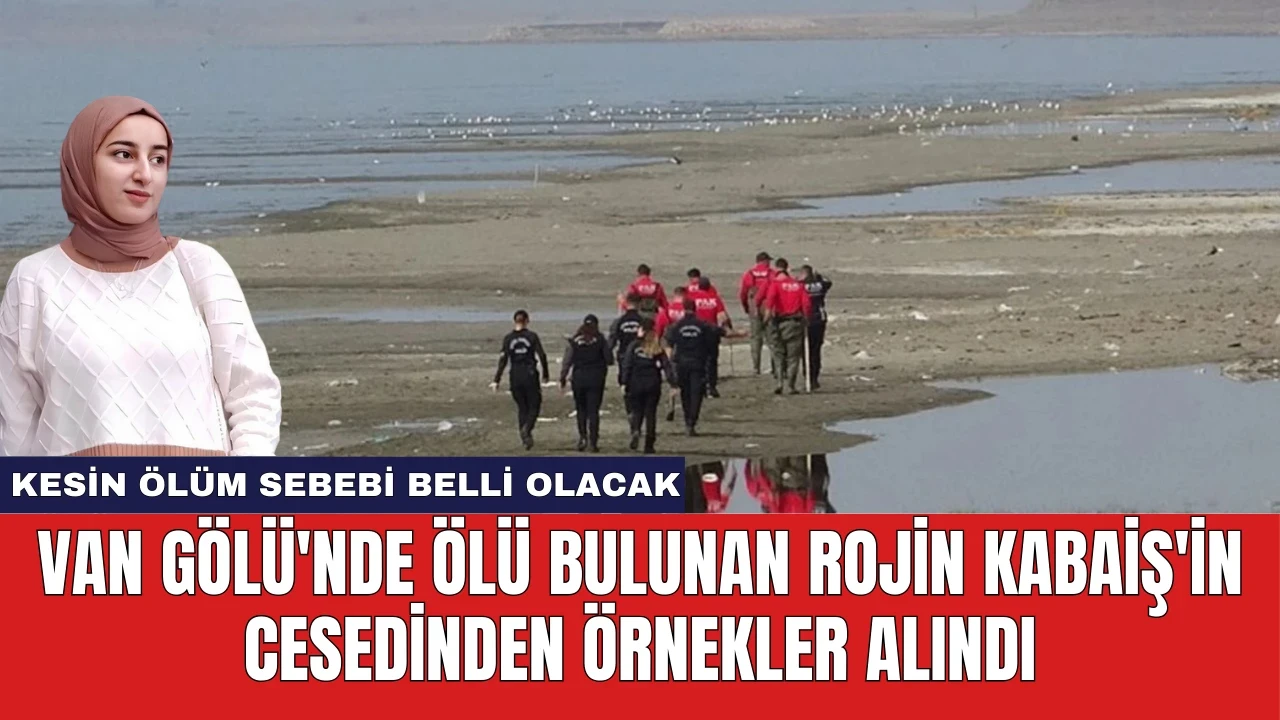 Van Gölü'nde Ölü Bulunan Rojin Kabaiş'in Cesedinden Örnekler Alındı