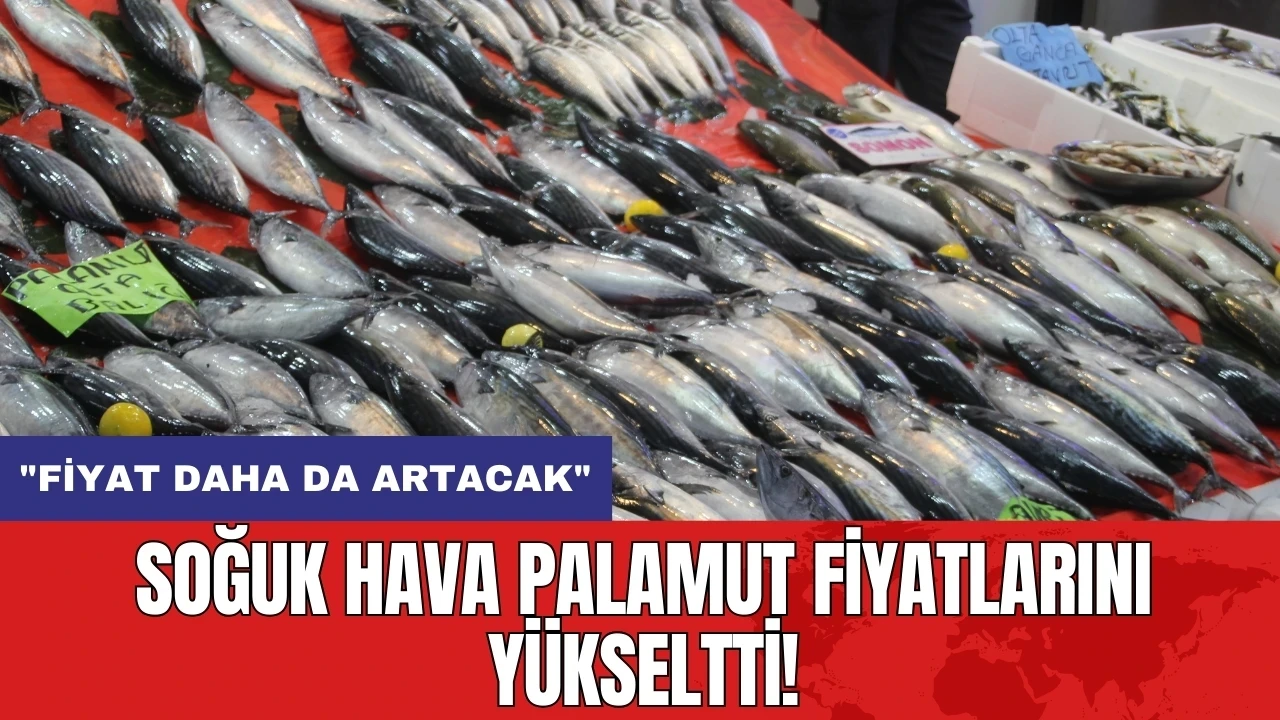 Soğuk hava palamut fiyatlarını yükseltti! "Fiyat daha da artacak"