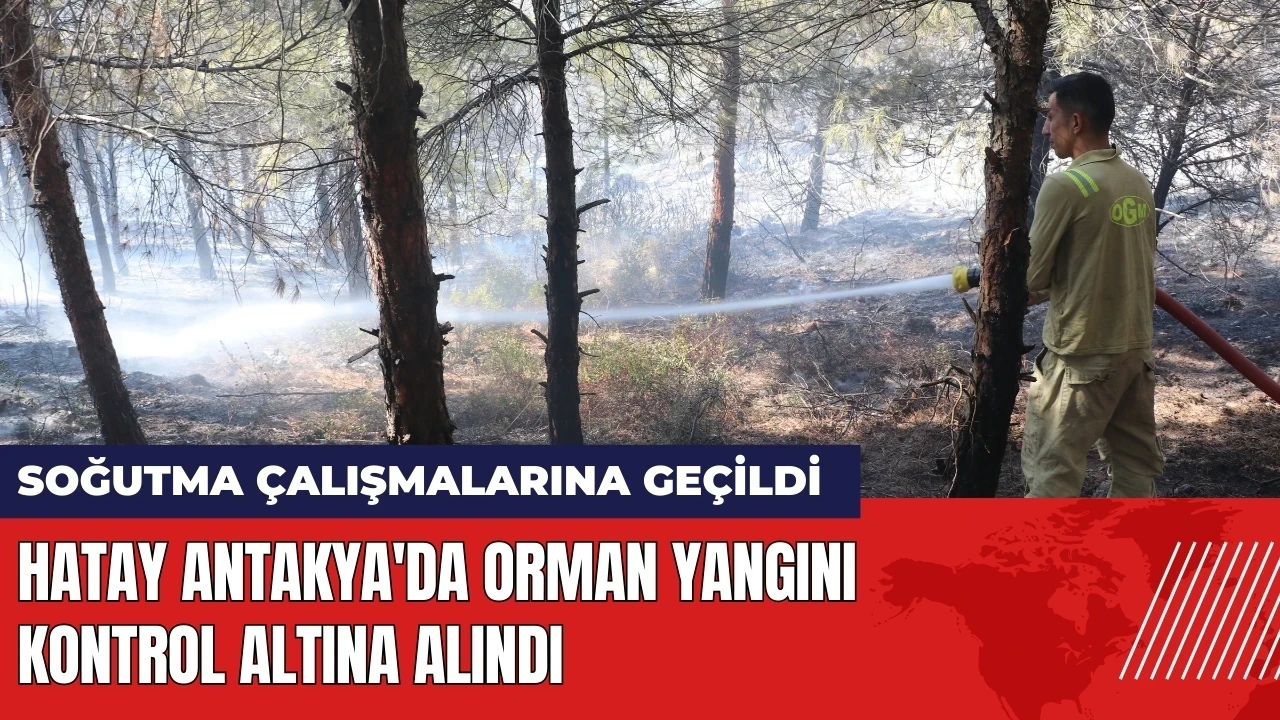 Hatay Antakya'da orman yangını kontrol altına alındı