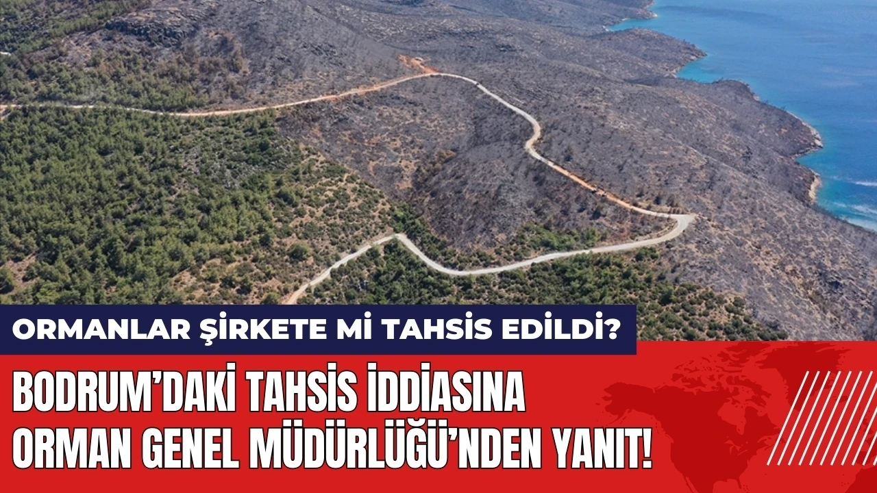 Bodrum’daki tahsis iddiasına Orman Genel Müdürlüğü’nden yanıt!