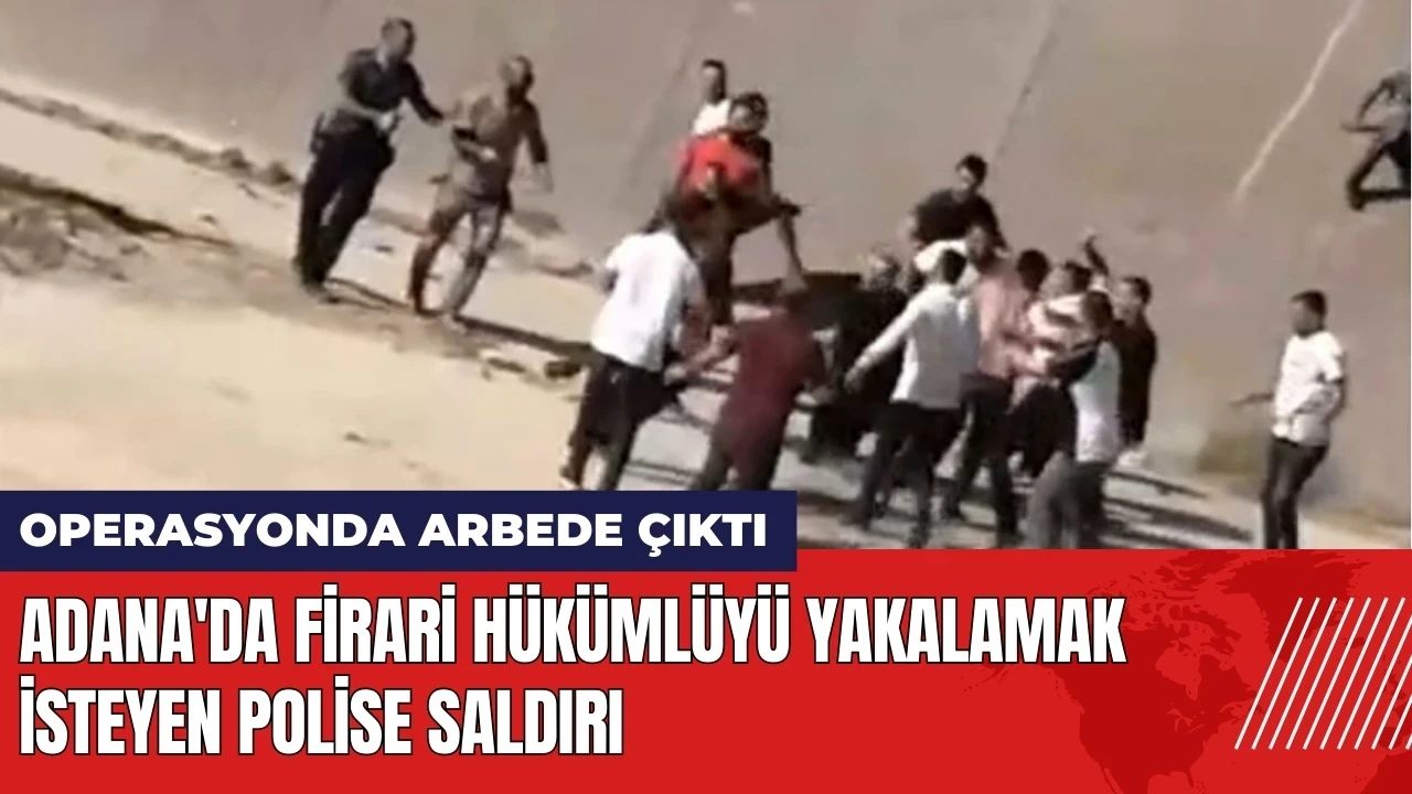 Adana'da firari hükümlüyü yakalamak isteyen polise saldırı