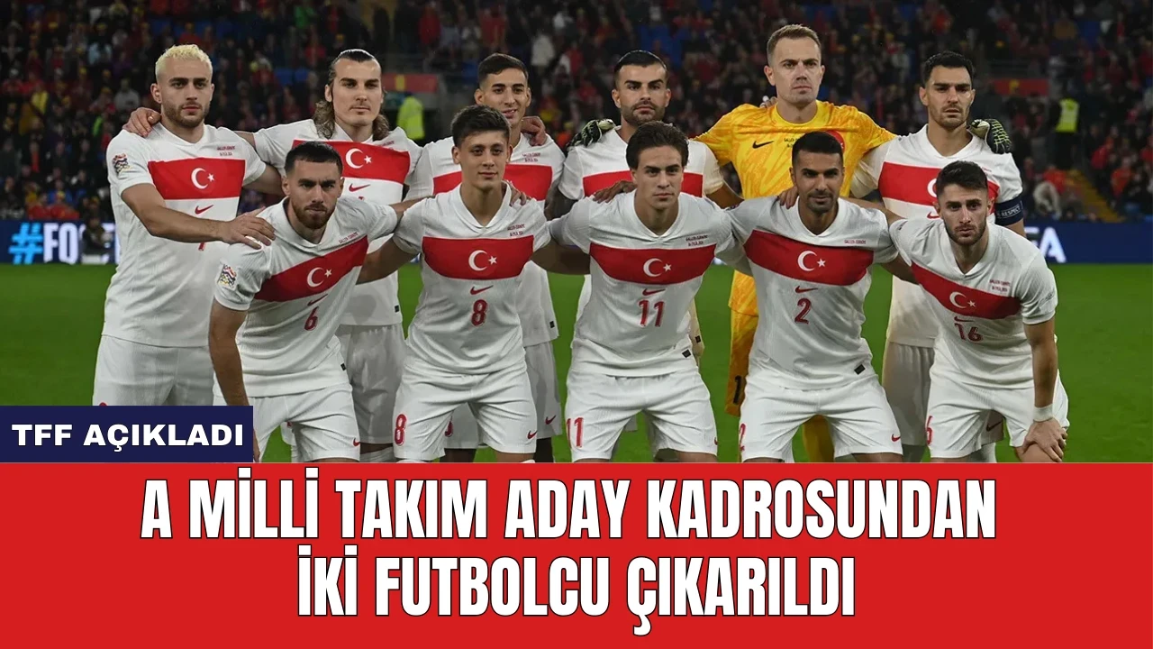 A Milli Takım Aday Kadrosundan İki Futbolcu Çıkarıldı