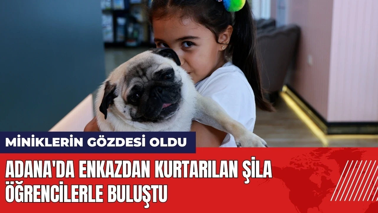 Adana'da enkazdan kurtarılan Şila öğrencilerle buluştu