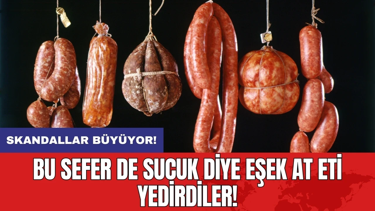 Skandallar büyüyor: Bu sefer de sucuk diye eşek at eti yedirdiler!