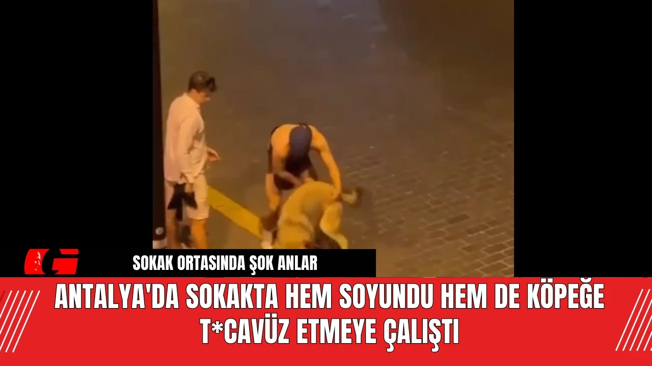 Antalya'da sokakta hem soyundu hem de köpeğe t*cavüz etmeye çalıştı