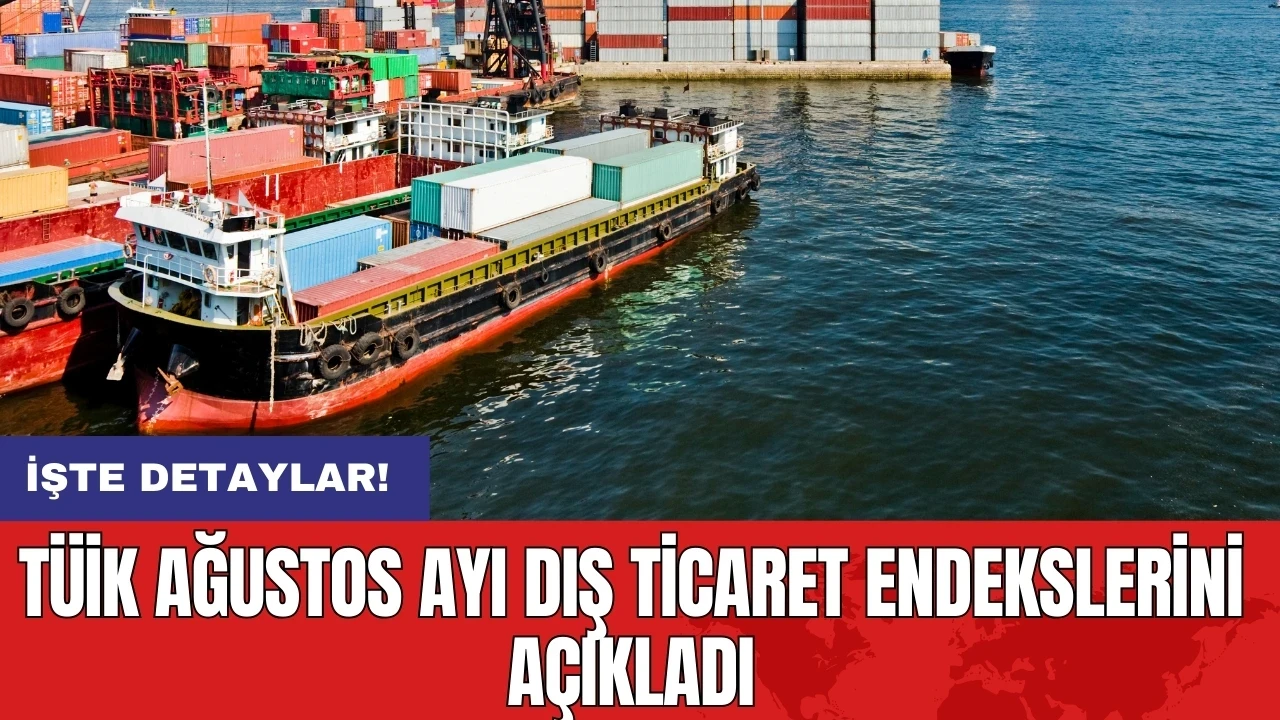 TÜİK Ağustos ayı dış ticaret endekslerini açıkladı