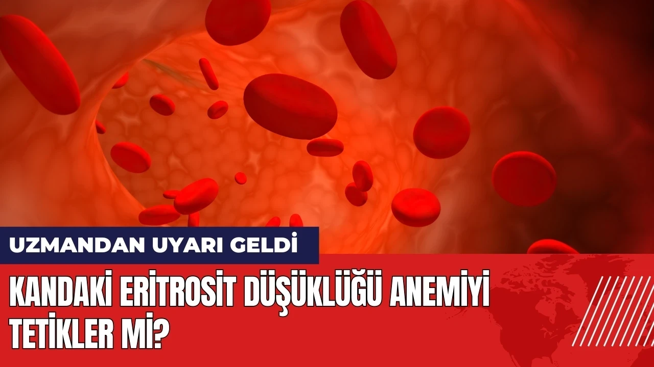 Kandaki eritrosit düşüklüğü anemiyi tetikler mi? İşte yanıtı