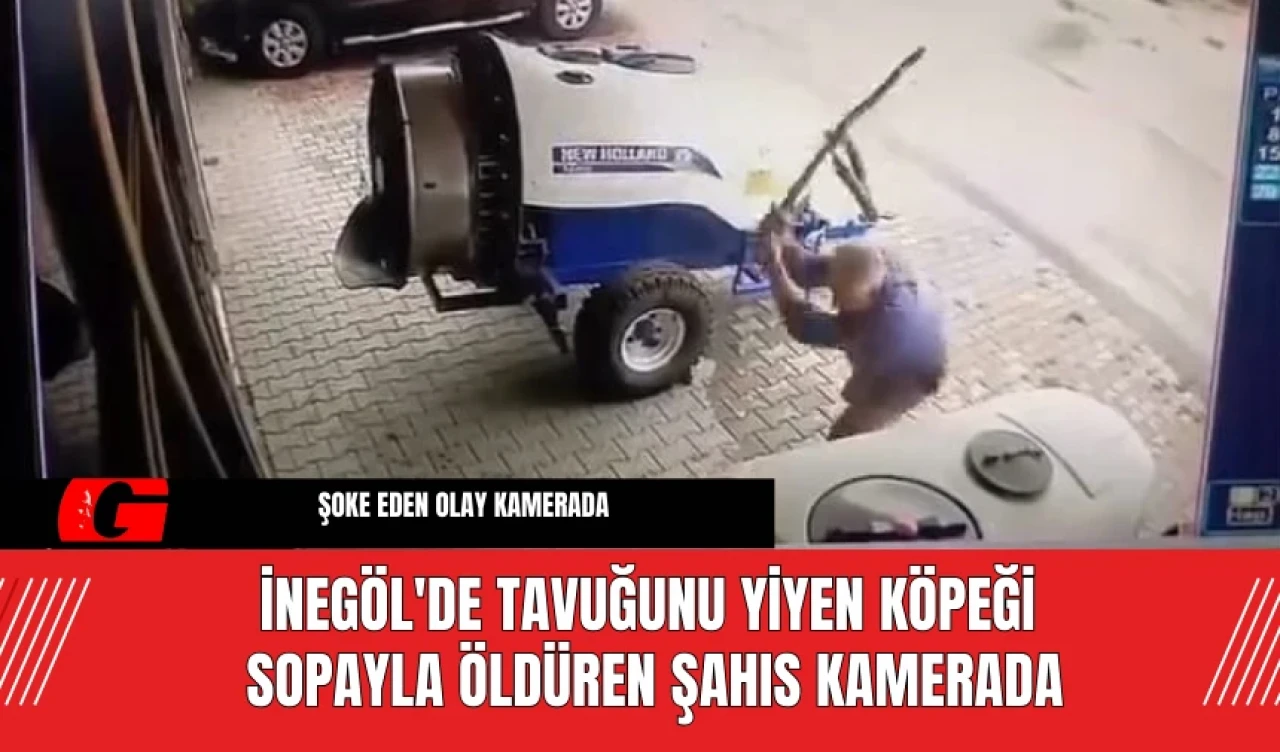 İnegöl'de Tavuğunu Yiyen Köpeği Sopayla Ö*düren Şahıs Kamerada