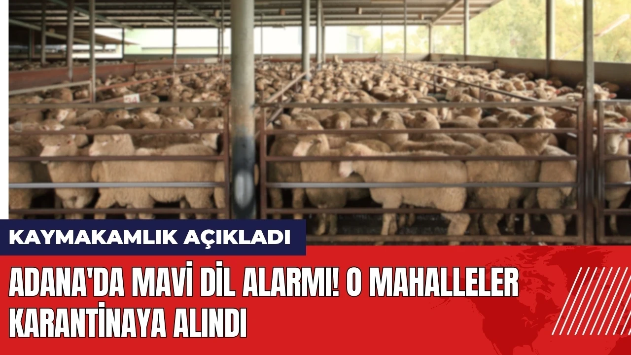 Adana'da mavi dil alarmı! O mahalleler karantinaya alındı