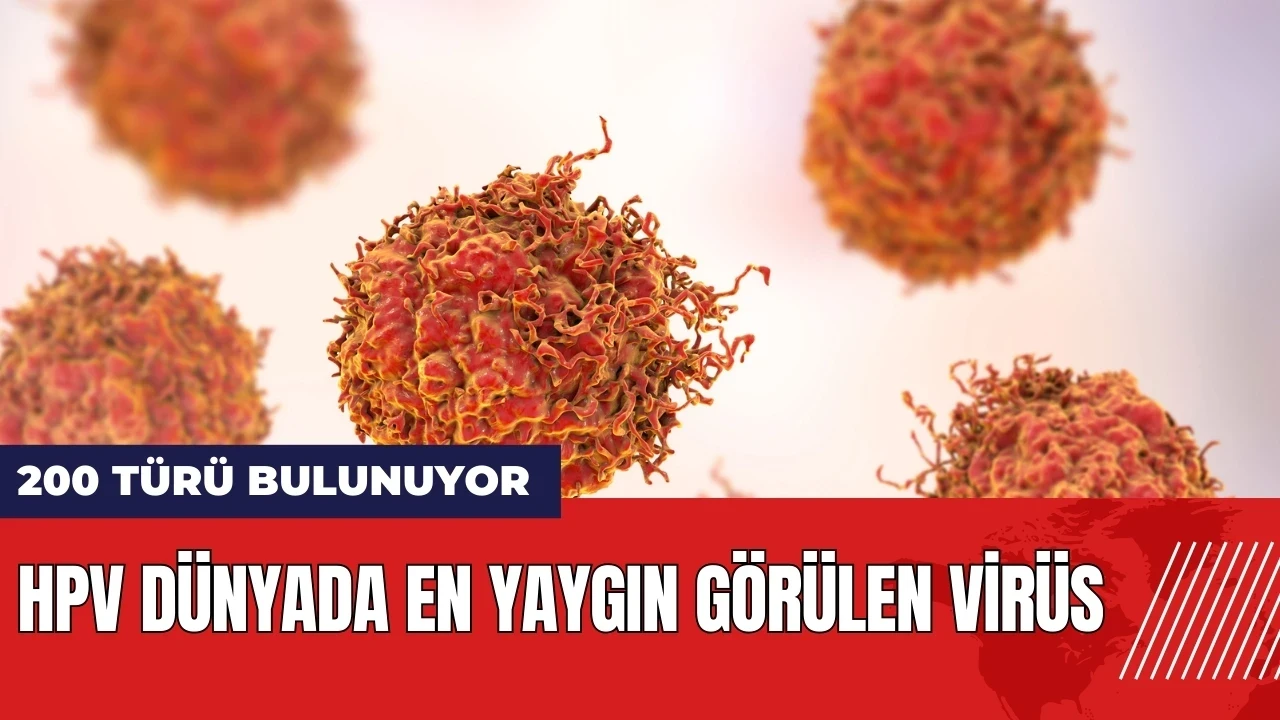 HPV dünyada en yaygın görülen virüs: 200 türü bulunuyor