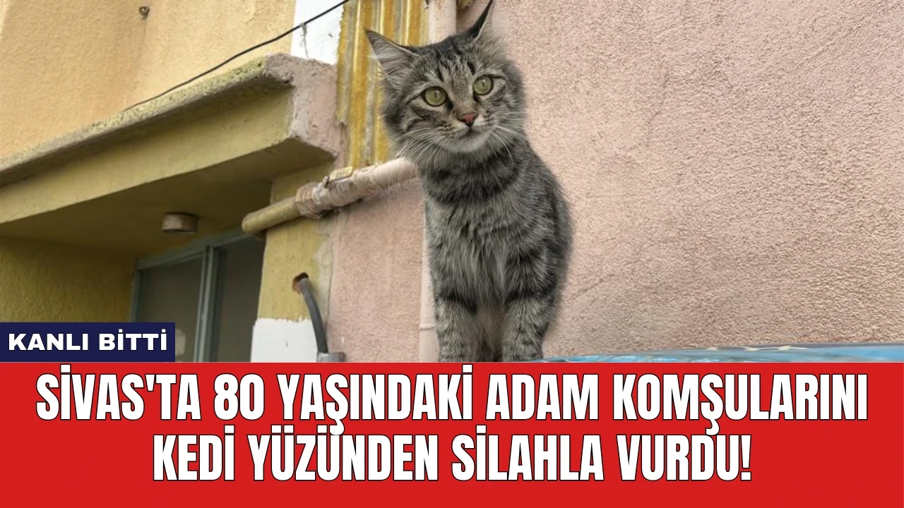 Sivas'ta 80 Yaşındaki Adam Komşularını Kedi Yüzünden Silahla Vurdu!