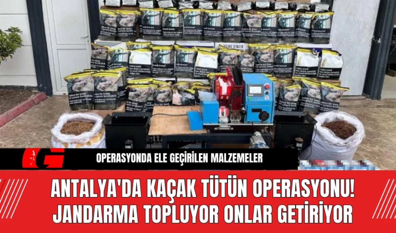 Antalya'da Kaçak Tütün Operasyonu! Jandarma Topluyor Onlar Getiriyor