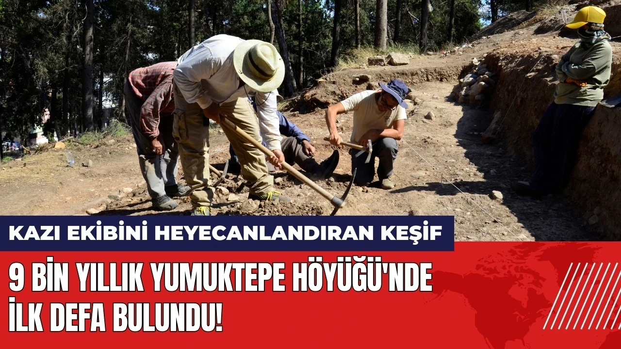 9 bin yıllık Yumuktepe Höyüğü'nde ilk defa bulundu!