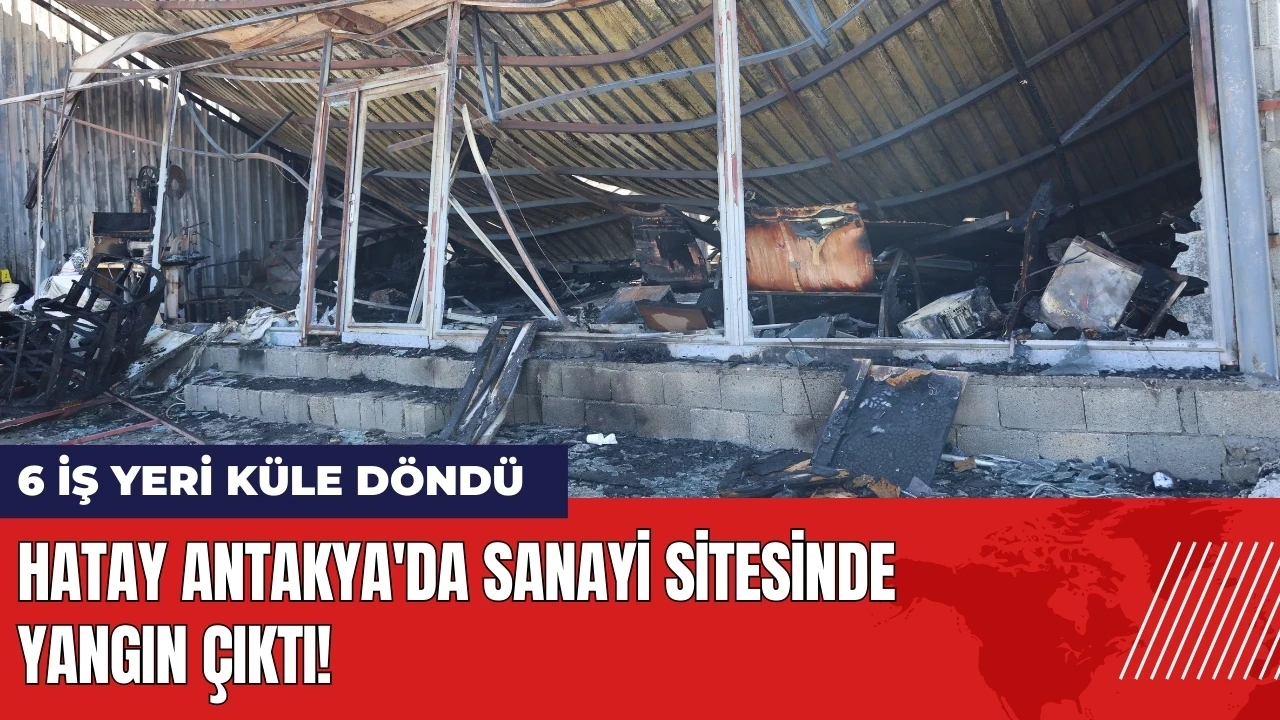 Hatay Antakya'da sanayi sitesinde yangın: 6 iş yeri küle döndü