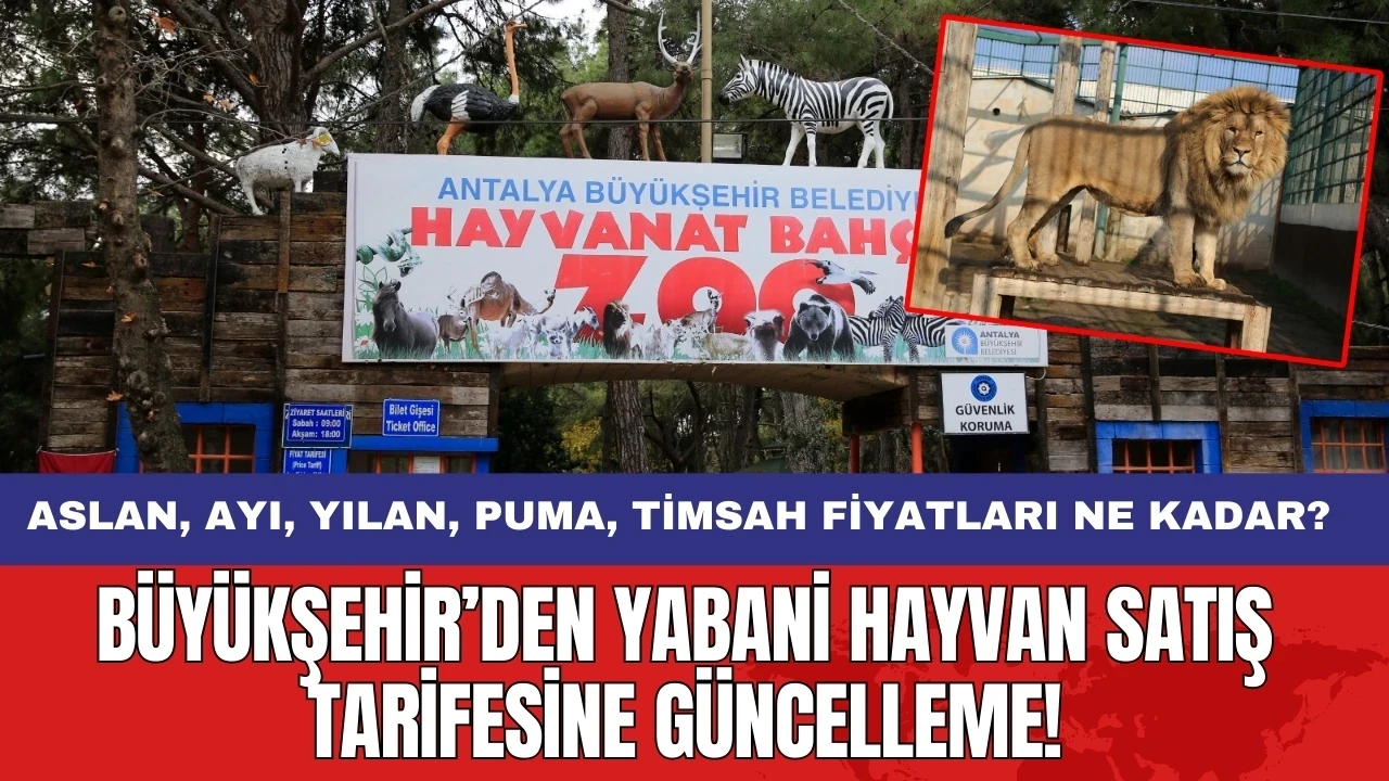 Büyükşehir’den yabani hayvan satış tarifesine güncelleme!