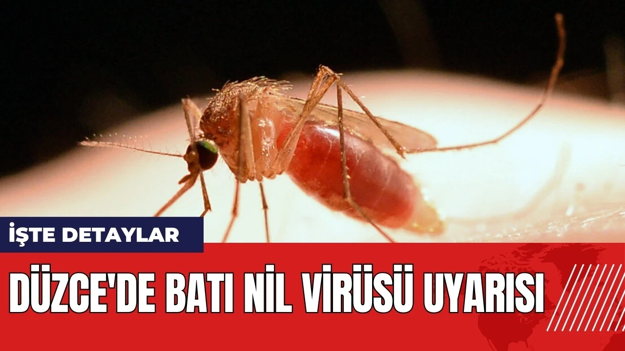 Düzce'de Batı Nil Virüsü uyarısı