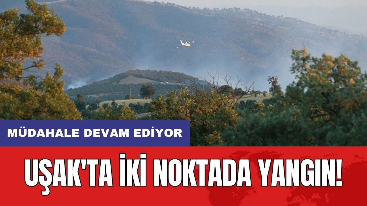 Uşak'ta iki noktada yangın! Müdahale devam ediyor