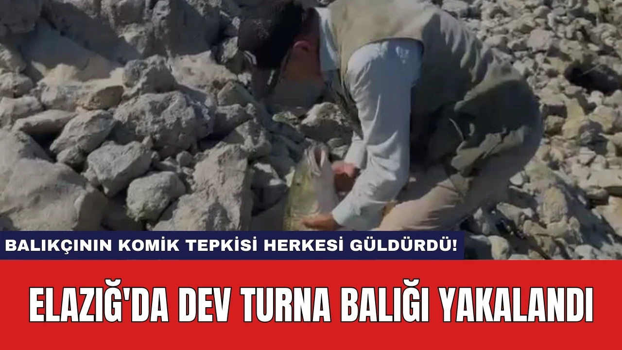 Elazığ'da dev turna balığı yakalandı: Balıkçının komik tepkisi herkesi güldürdü!