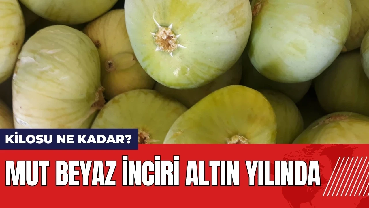 Mut beyaz inciri altın yılında! Beyaz incir kilosu ne kadar?