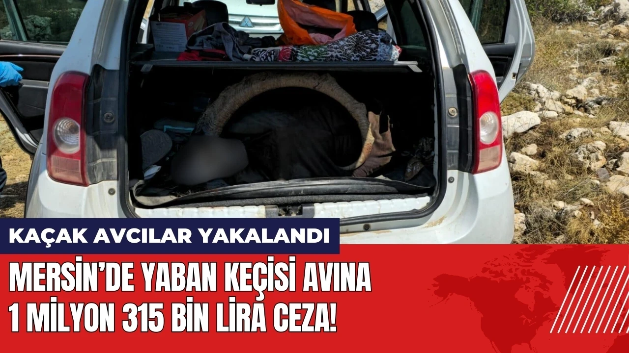 Mersin’de yaban keçisi avına 1 milyon 315 bin lira ceza!