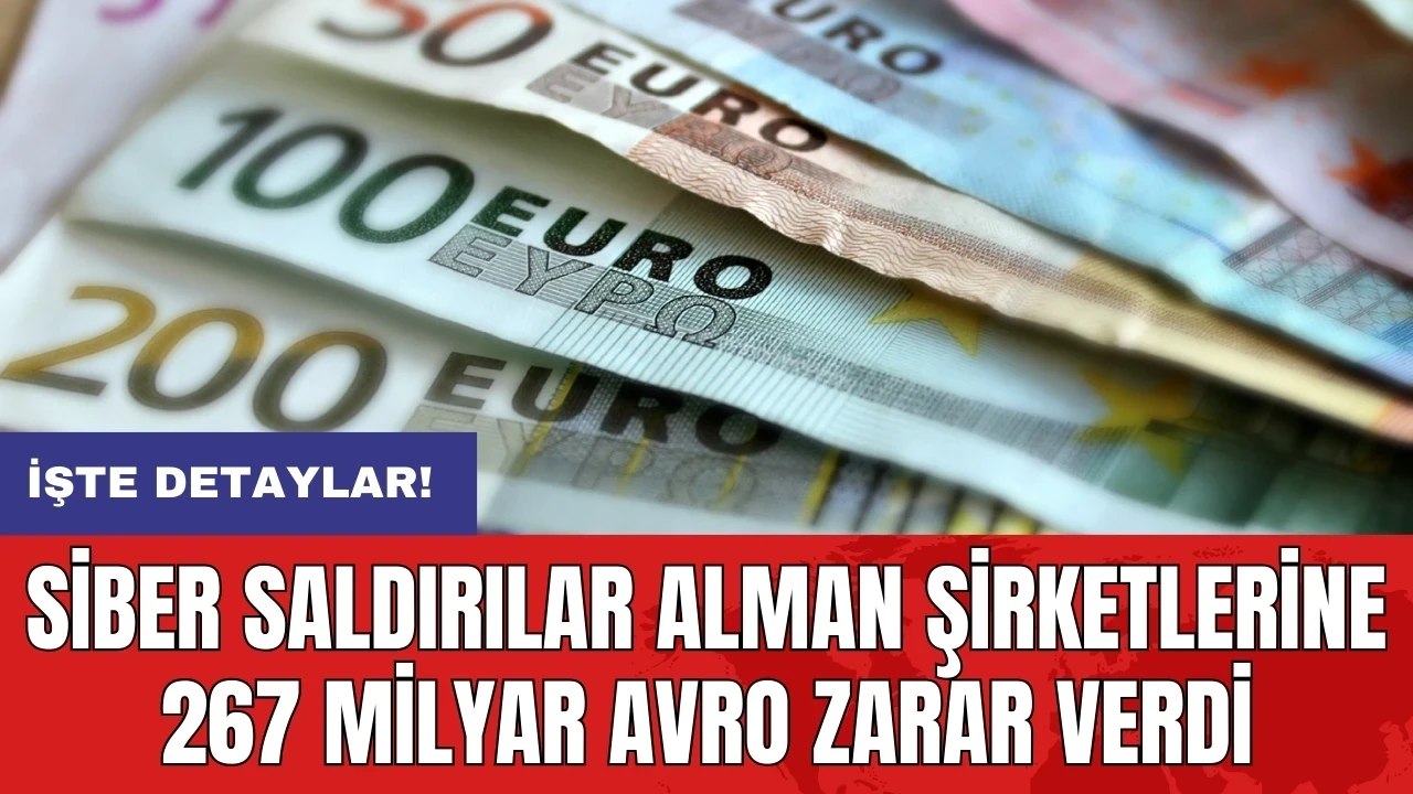 Siber saldırılar Alman şirketlerine 267 milyar avro zarar verdi