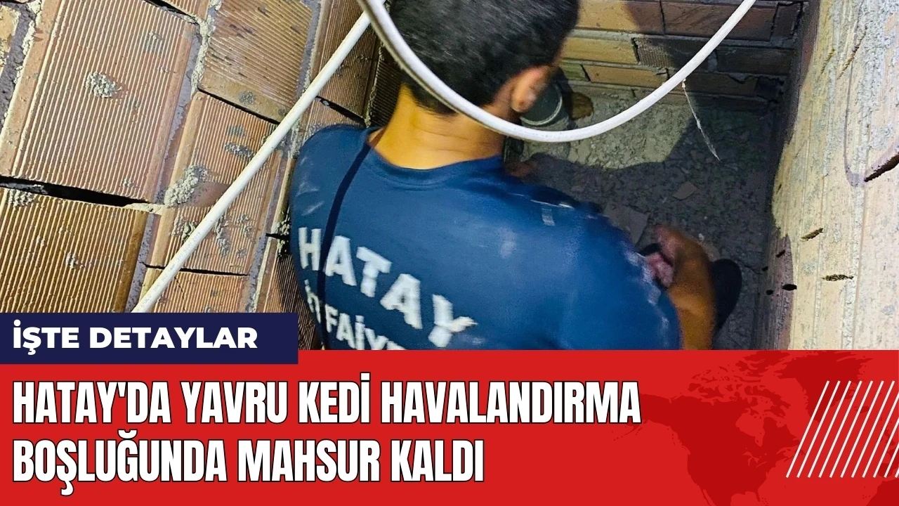 Hatay'da yavru kedi havalandırma boşluğunda mahsur kaldı