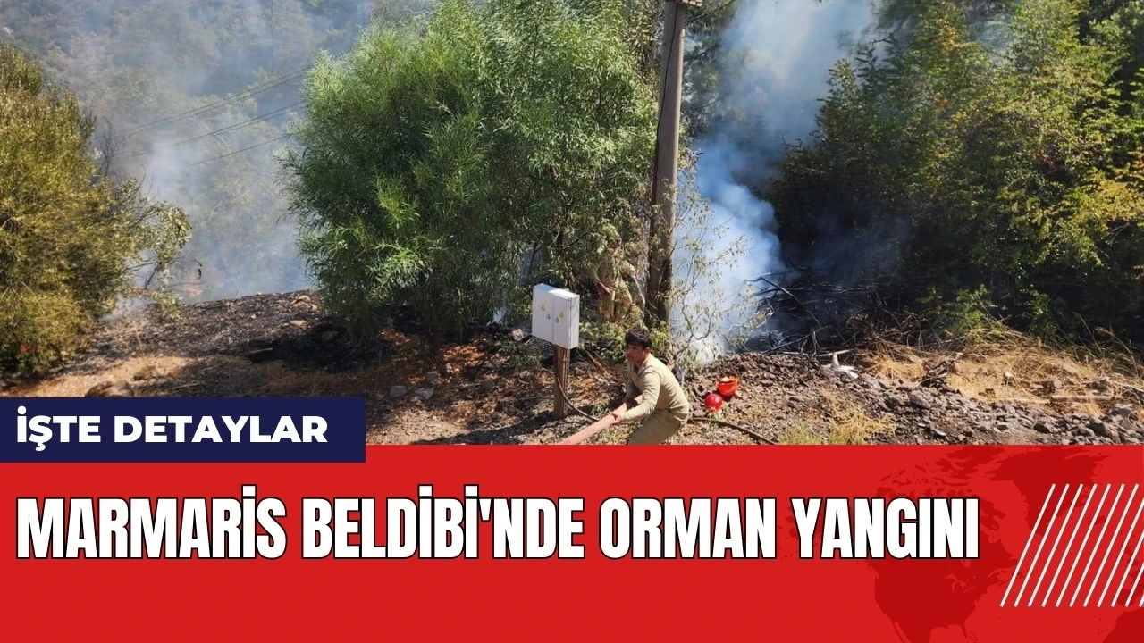 Marmaris Beldibi'nde orman yangını