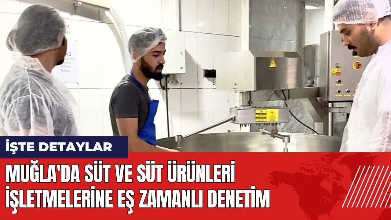 Muğla'da süt ve süt ürünleri işletmelerine eş zamanlı denetim