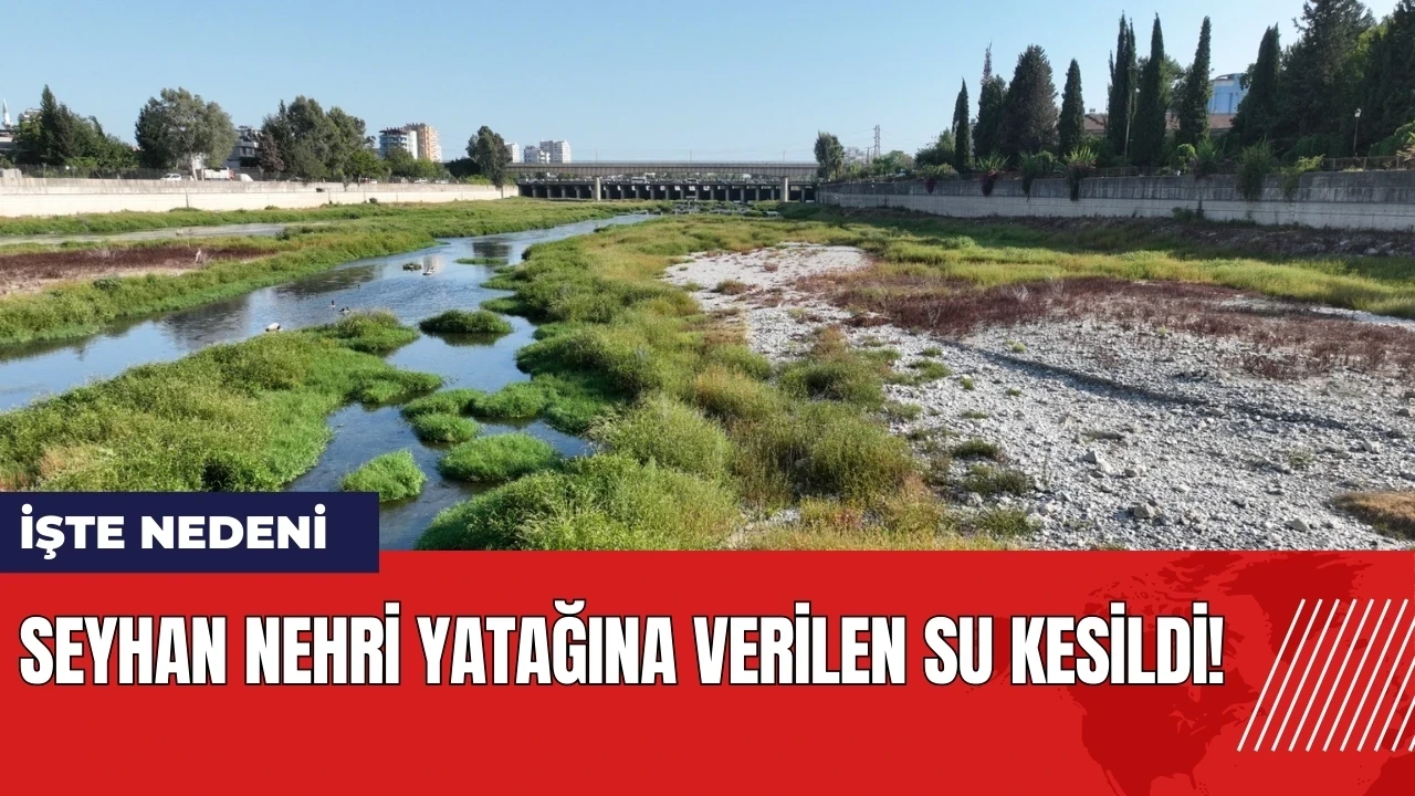 Seyhan Nehri yatağına verilen su kesildi! İşte nedeni