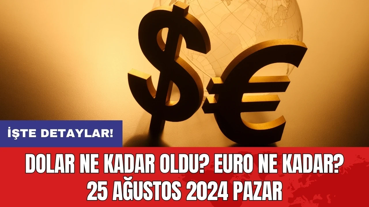 Dolar ne kadar oldu? Euro ne kadar? 25 Ağustos 2024 Pazar