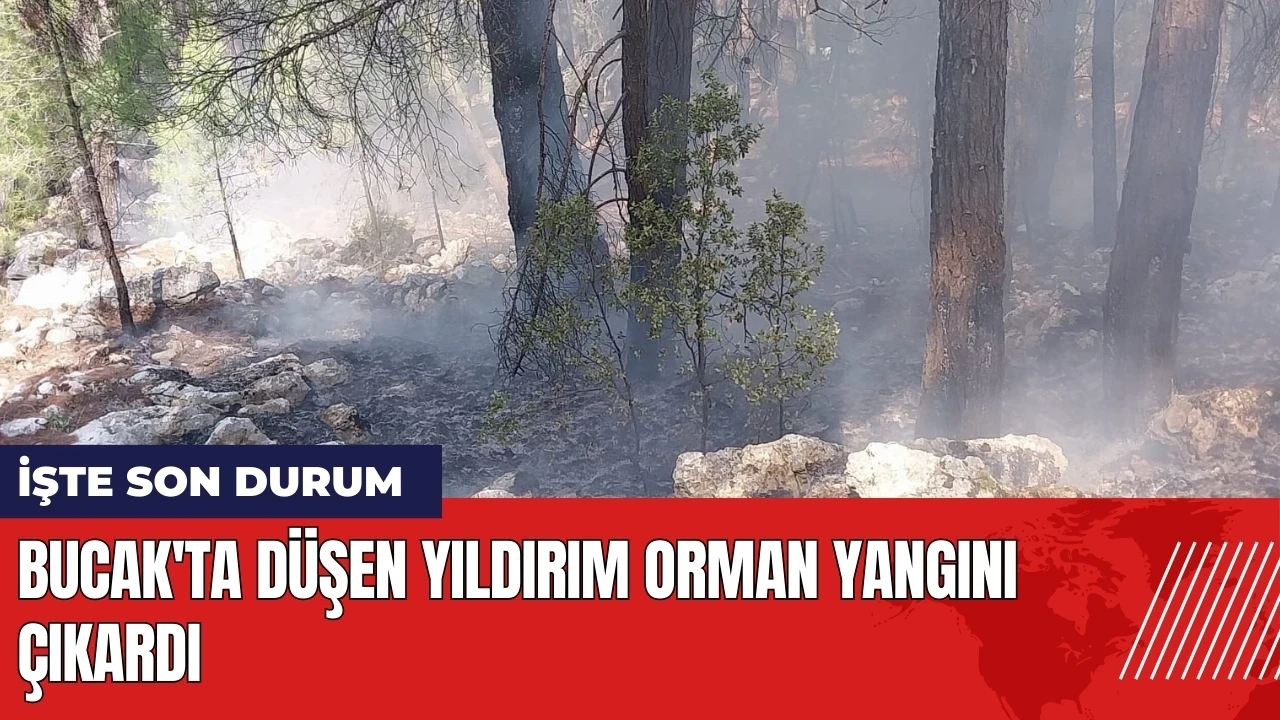 Bucak'ta düşen yıldırım orman yangını çıkardı