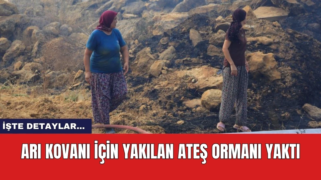 Arı kovanı için yakılan ateş ormanı yaktı