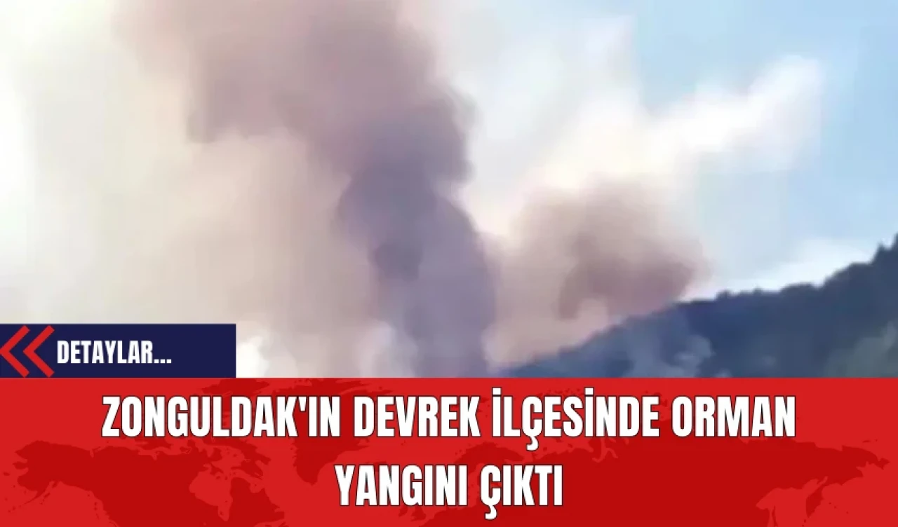 Zonguldak'ın Devrek İlçesinde Orman Yangını Çıktı