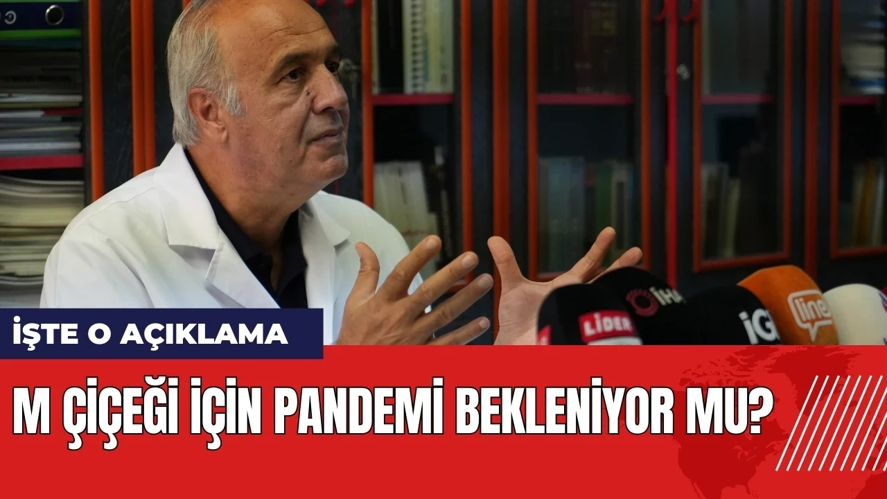 M Çiçeği için pandemi bekleniyor mu?