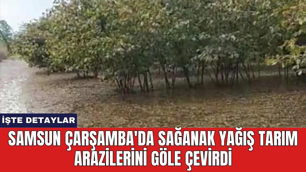 Samsun Çarşamba'da Sağanak Yağış Tarım Arazilerini Göle Çevirdi