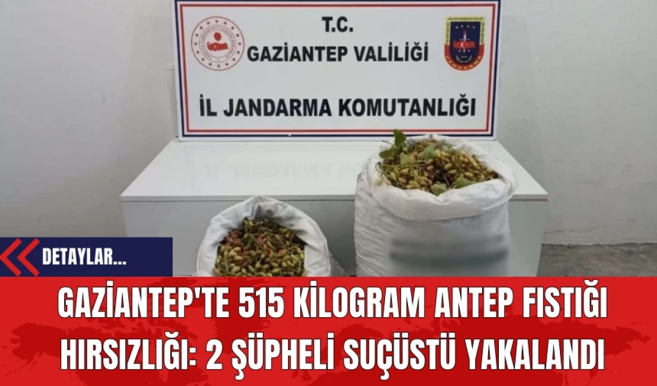 Gaziantep'te 515 Kilogram Antep Fıstığı Hırsızlığı: 2 Şüpheli Suçüstü Yakalandı