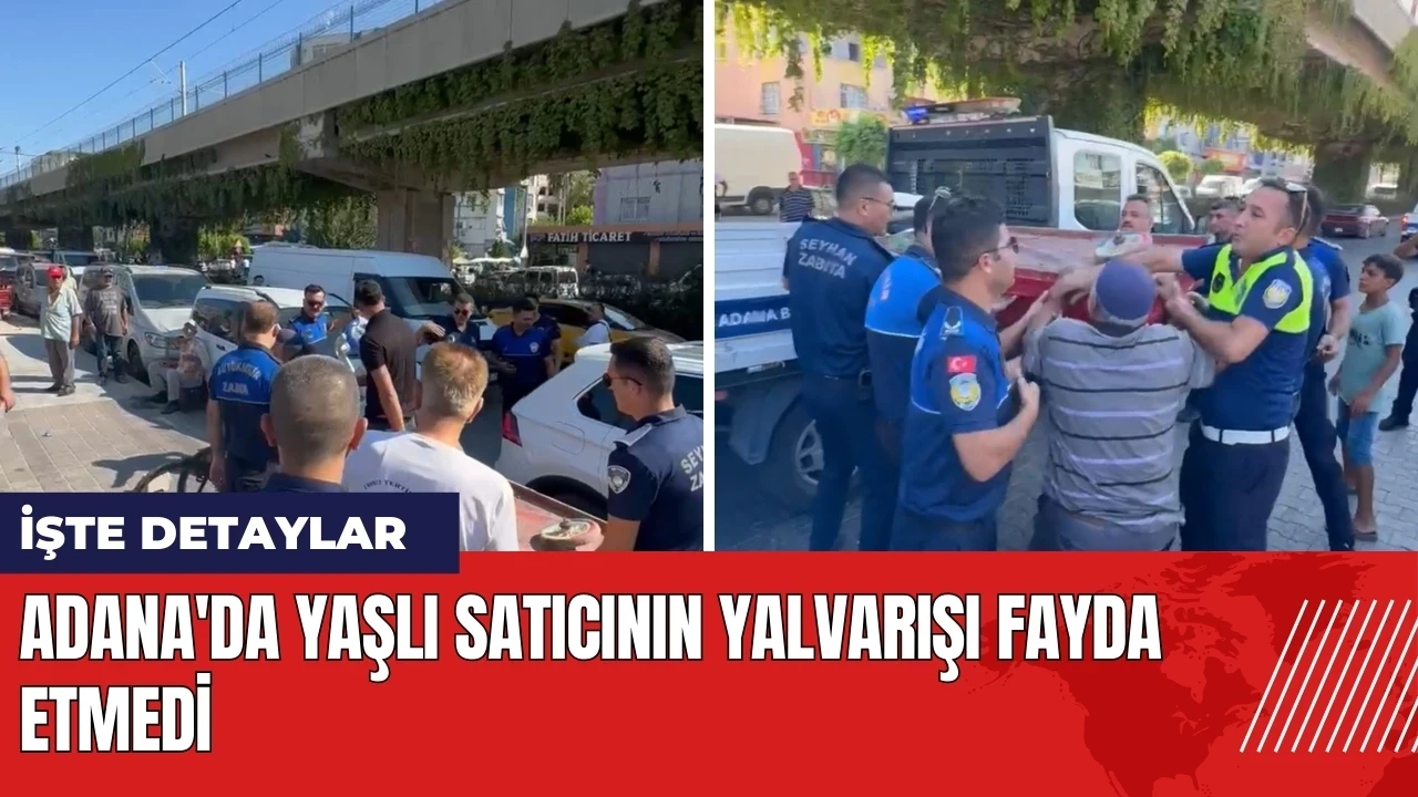 Adana'da yaşlı satıcının yalvarışı fayda etmedi