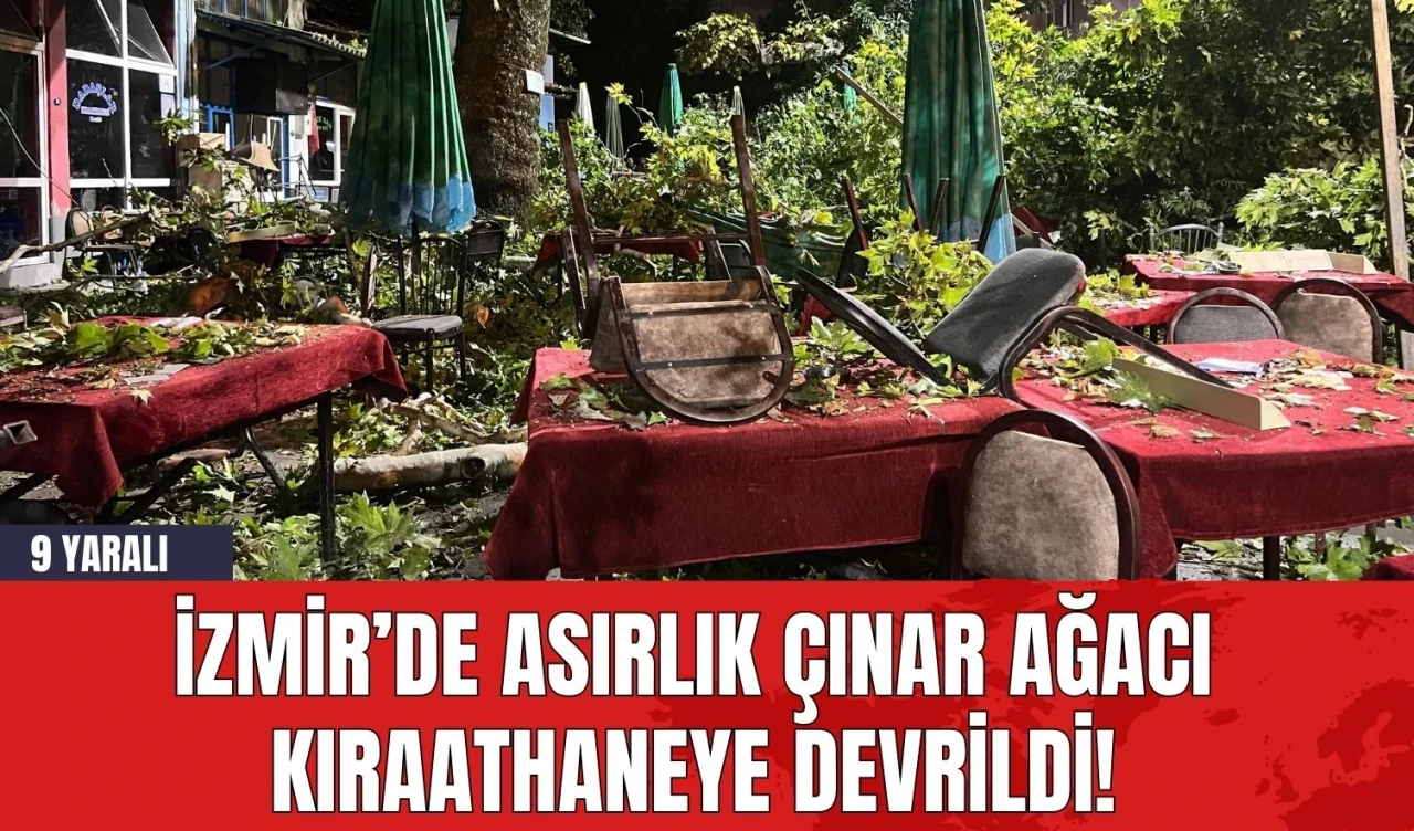 İzmir’de Asırlık Çınar Ağacı Kıraathaneye Devrildi! 9 Yaralı