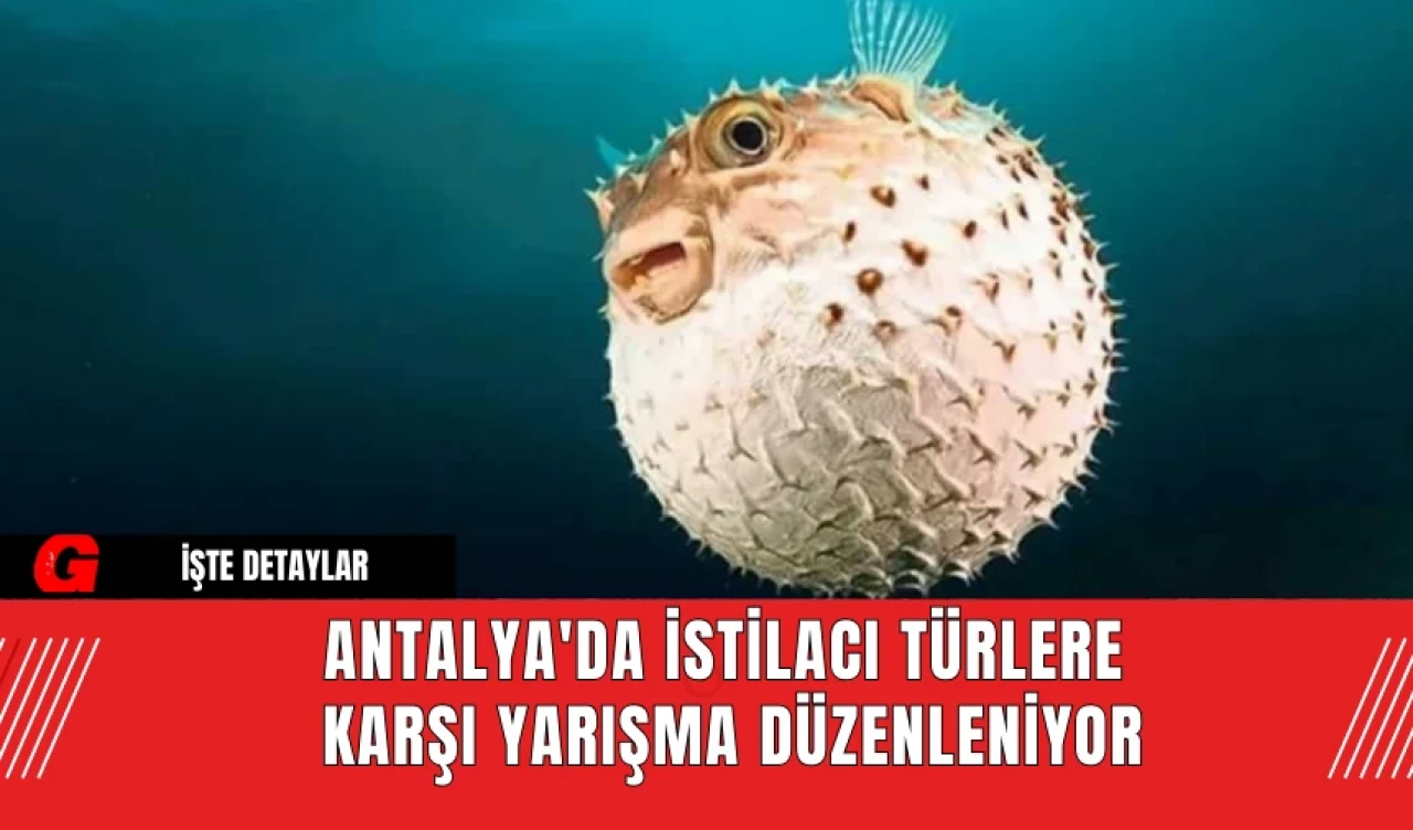 Antalya'da İstilacı Türlere Karşı Yarışma Düzenleniyor