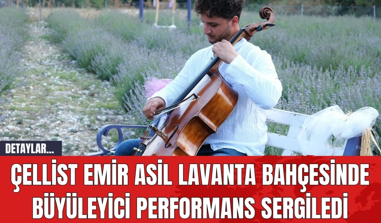 Çellist Emir Asil Lavanta Bahçesinde Büyüleyici Performans Sergiledi